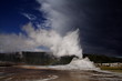 geyser yellowstone geyser yellowstone
