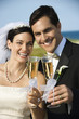 Photo: Bride and groom holding champagne glasses. Bride and groom holding champagne glasses.