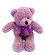 violet bear toy