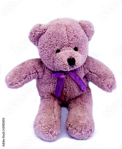 Photo: violet bear toy violet bear toy