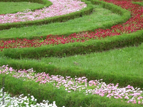 fleurs fleurs