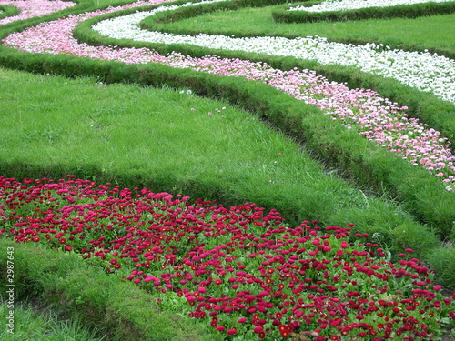 massif floral