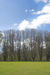 early spring