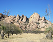 the dragoon mountains the dragoon mountains