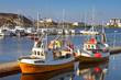 fishing boats