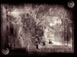 grunge background grunge background
