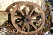 wheel of a life
