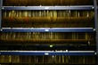 records management