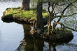 small isles