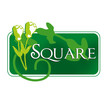 graphisme square
