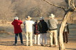 people on safari people on safari