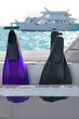 flippers