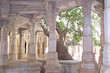 column of marble of a jain temple with a big tree, ranakpur, ind