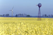 éoliennes et colza éoliennes et colza