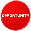 red icon with word of opportunity