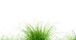 touffes d'herbe