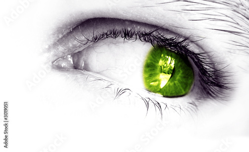 Photo: my eye (green) my eye (green)