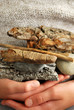 beach treasures