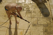 nettoyage au Karcher