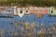 western refelections