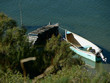 la barque