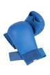 blue karate gloves