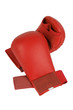 red karate gloves