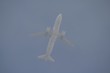 avión en la niebla.
