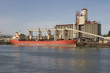loading grain