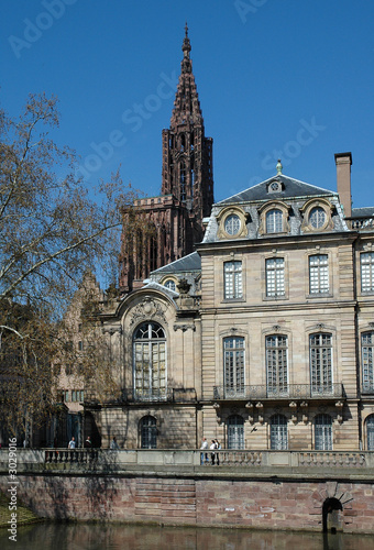 cathedral along canal in strasbourg, france