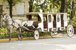 Photo: horse carriage horse carriage