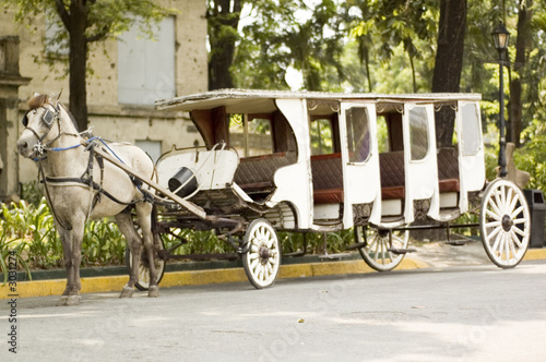 Photo: horse carriage horse carriage