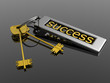 key to success