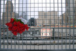 ground zero