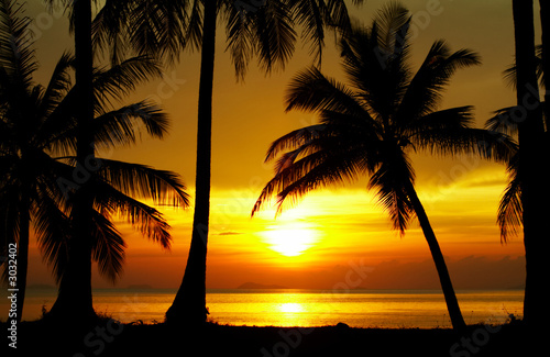 Photo: sunset equator sunset equator