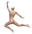 anatomy in motion - woman leaping 2