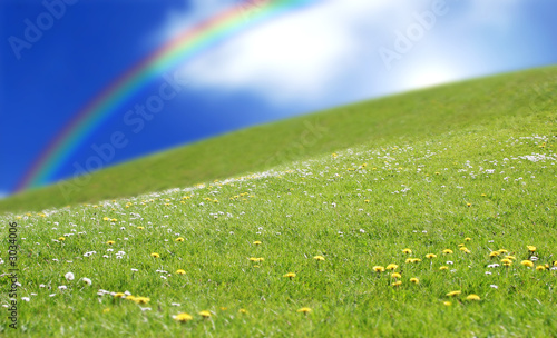 Photo: prairie rainbow grass prairie rainbow grass