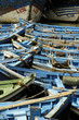barques essaouira