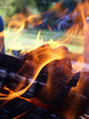 flames entwining around burning logs flames entwining around burning logs