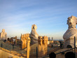 la pedrera/ casa mila - antoni gaudi architecture