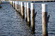 pier