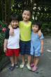 Photo: kids at the garden kids at the garden