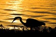 a sunset