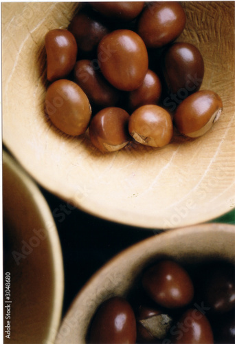 shea nuts