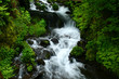 wahkeena falls