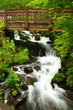 bridge over wahkeena falls