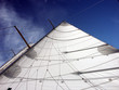 sail sail