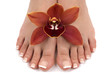 feet and orchid