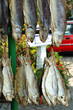 the dried fishes the dried fishes