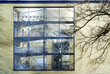 windows windows
